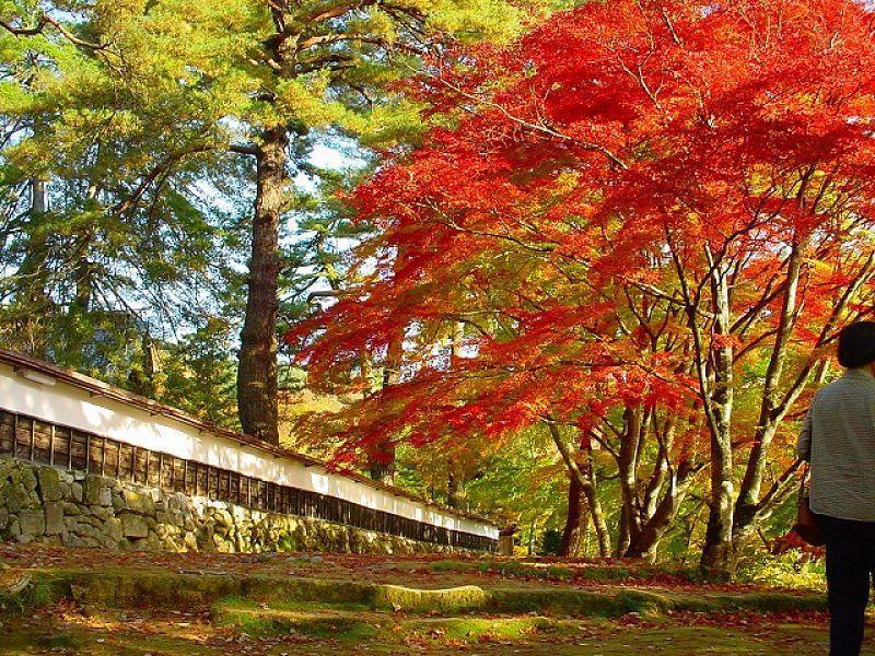Tabist Hana Hotel Takinoya Aizu-Yanaizu Buitenkant foto